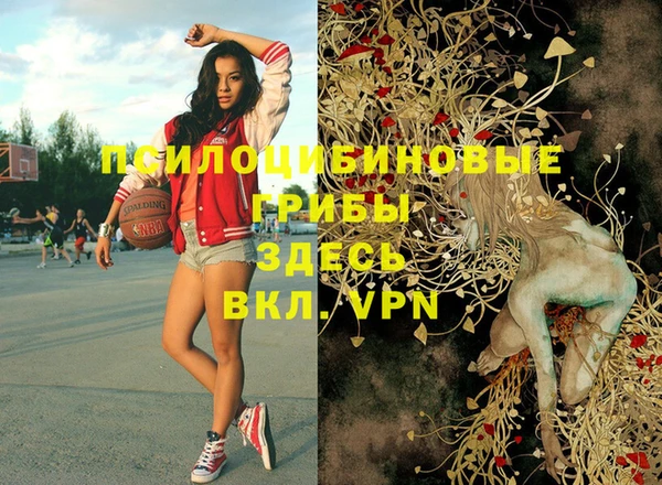 гашиш Белокуриха