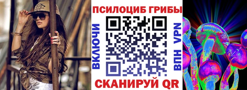 mega как войти Бобров Галлюциногенные грибы прущие грибы где продают наркотики
