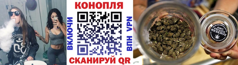 купить   Бобров  Бошки Шишки сатива 